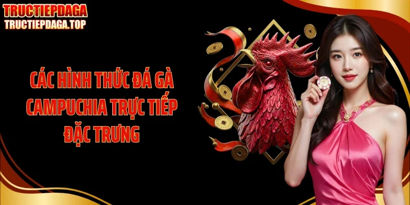 cac hinh thuc da ga campuchia truc tiep dac trung Các hình thức đá gà Campuchia trực tiếp đặc trưng