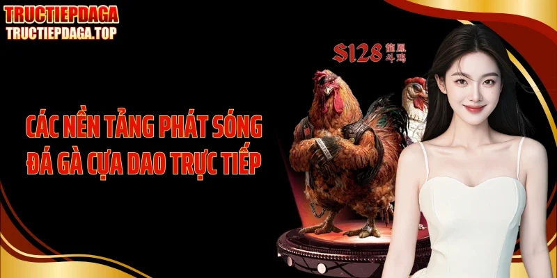 Các nền tảng phát sóng đá gà cựa dao trực tiếp