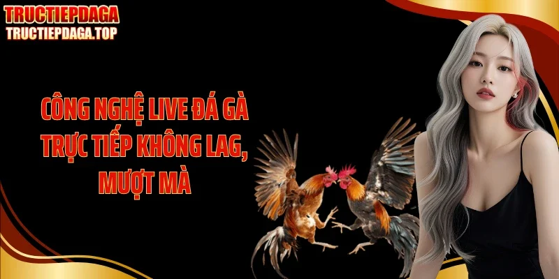 Công nghệ live đá gà trực tiếp không lag, mượt mà