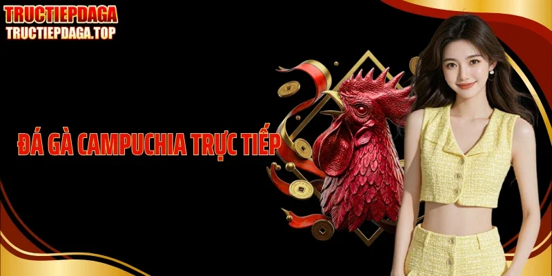 Đá Gà Campuchia Trực Tiếp - Sức Hút Từ Các Trường Gà Biên Giới