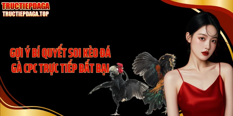 Gợi ý bí quyết soi kèo đá gà CPC trực tiếp bất bại