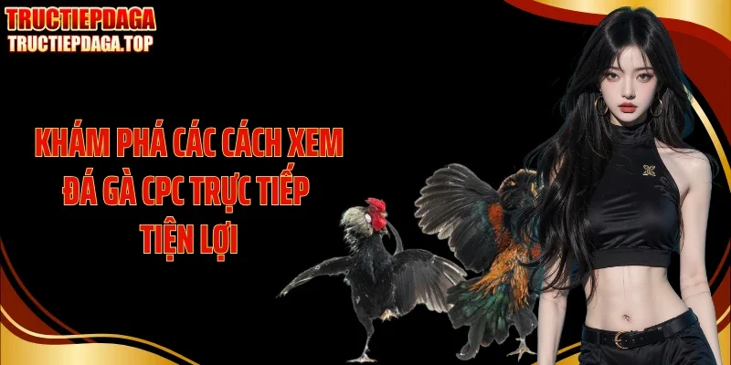 Khám phá các cách xem đá gà CPC trực tiếp tiện lợi