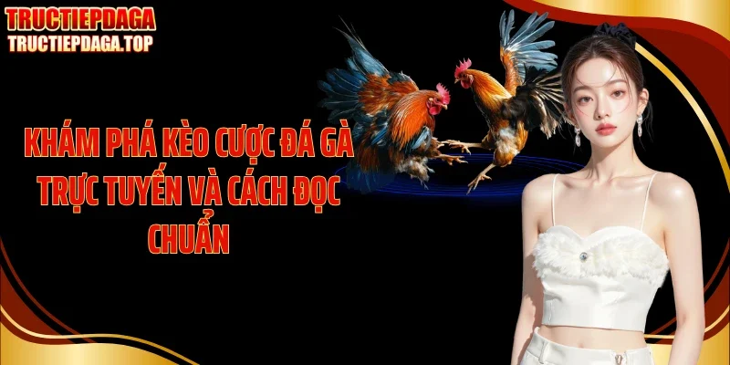 Khám phá kèo cược đá gà trực tuyến và cách đọc chuẩn