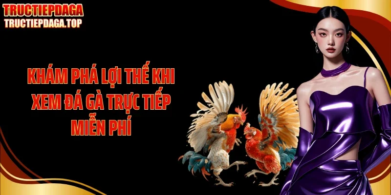 Khám phá lợi thế khi xem đá gà trực tiếp miễn phí