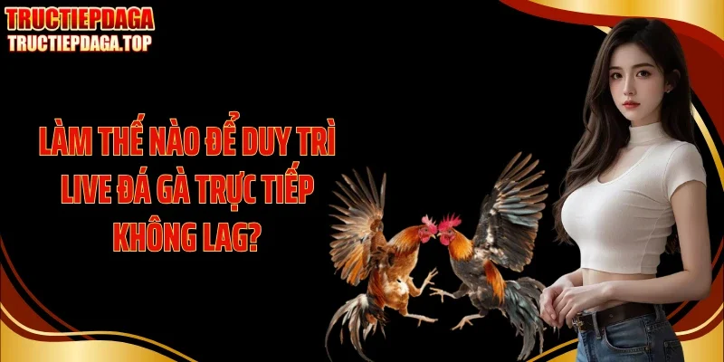 Làm thế nào để duy trì live đá gà trực tiếp không lag?