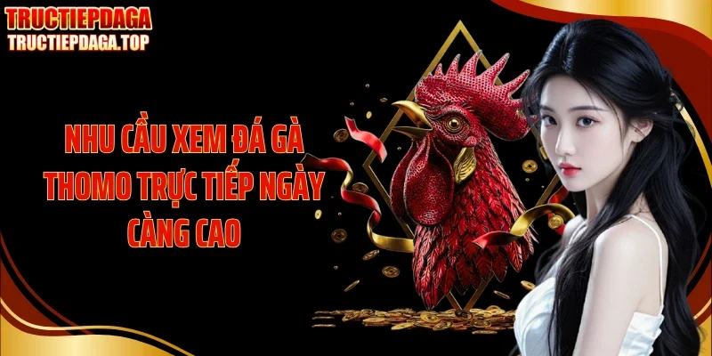 Nhu cầu xem đá gà Thomo trực tiếp ngày càng cao