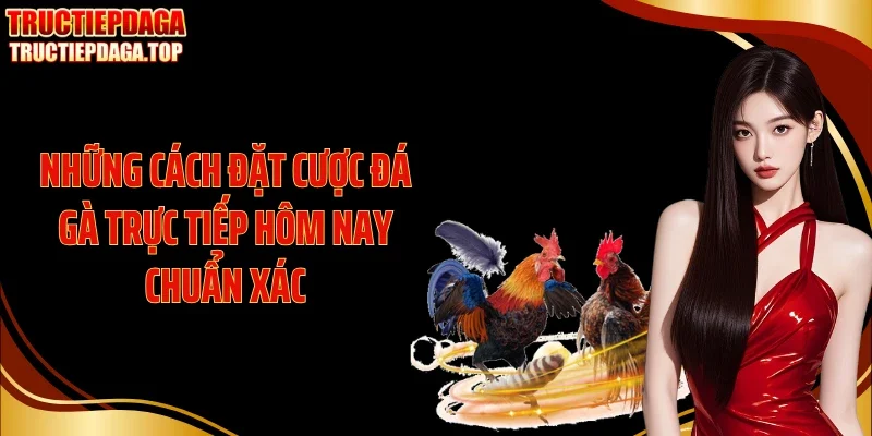 Những cách đặt cược đá gà trực tiếp hôm nay chuẩn xác
