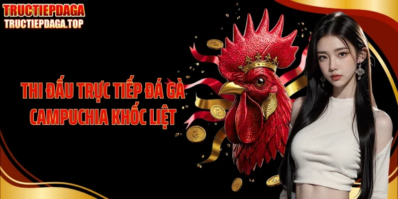 Thi đấu trực tiếp đá gà Campuchia khốc liệt