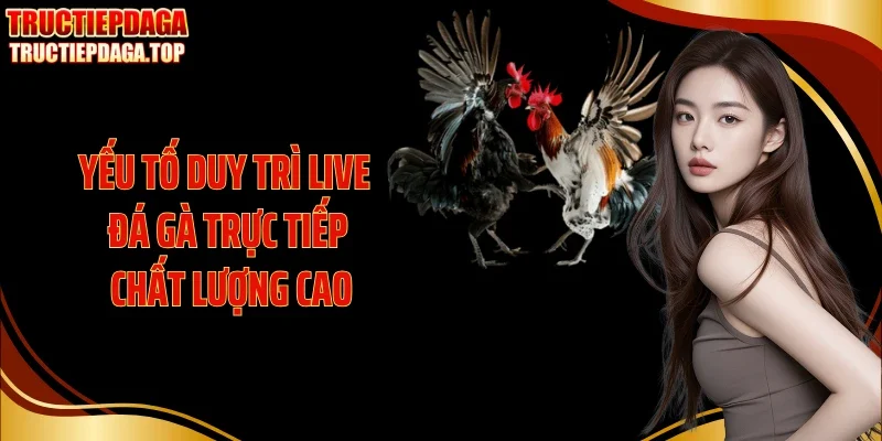 Yếu tố duy trì live đá gà trực tiếp chất lượng cao