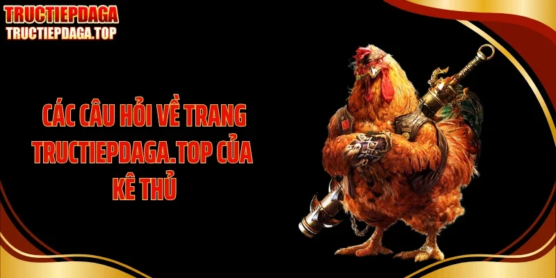 cac cau hoi ve trang tructiepdaga top cua ke thu Các câu hỏi về trang guppytaiwan.com.tw của kê thủ