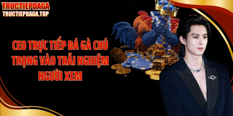 CEO Trực tiếp đá gà chú trọng vào trải nghiệm người xem
