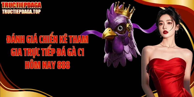 Đánh giá chiến kê tham gia trực tiếp đá gà C1 hôm nay 888