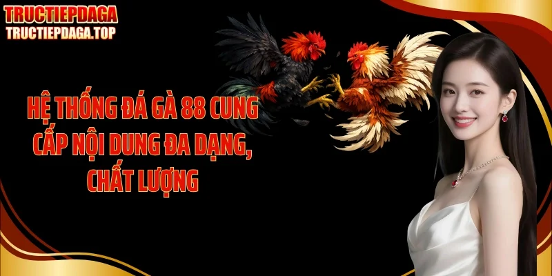 he thong da ga 88 cung cap noi dung da dang chat luong Hệ thống đá gà 88 cung cấp nội dung đa dạng, chất lượng