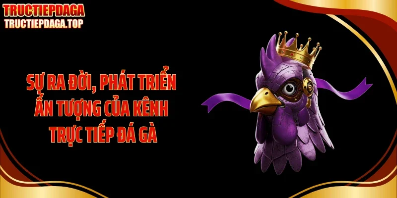 su ra doi phat trien an tuong cua kenh truc tiep da ga Sự ra đời, phát triển ấn tượng của kênh trực tiếp đá gà