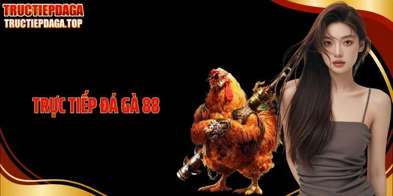 Trực Tiếp Đá Gà 88 Theo Sát Trận, Không Lệch Nhịp Dù Chỉ 1s