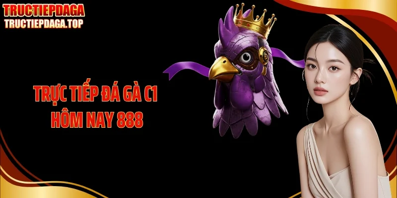 Trực Tiếp Đá Gà C1 Hôm Nay 888 - Bắt Trọn Nhịp Trận Kịch Tính
