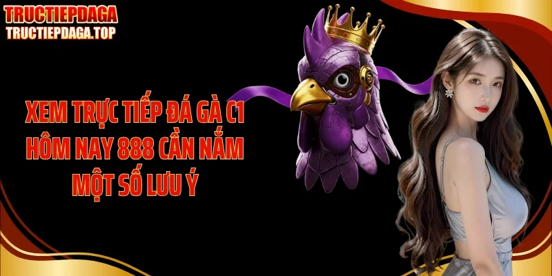 Xem trực tiếp đá gà C1 hôm nay 888 cần nắm một số lưu ý
