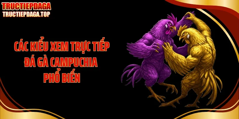 Các kiểu xem trực tiếp đá gà Campuchia phổ biến
