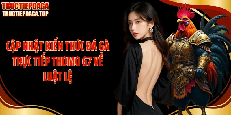 Cập nhật kiến thức đá gà trực tiếp Thomo 67 về luật lệ