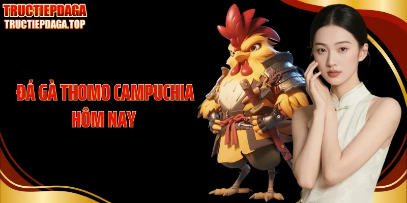 Đá Gà Thomo Campuchia Hôm Nay Nóng Nhất Trường Gà Biên Giới