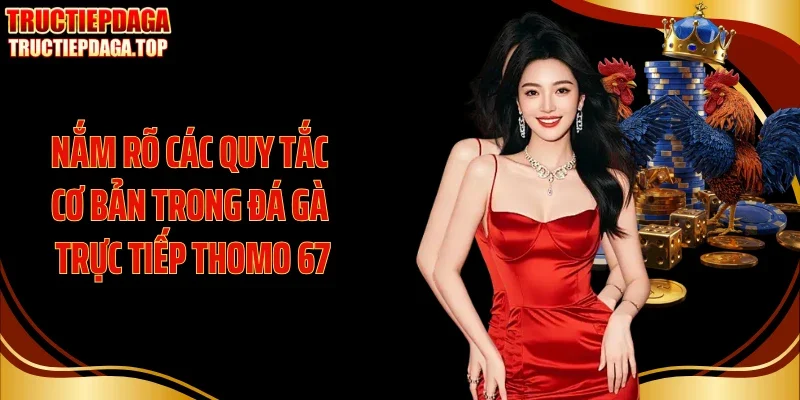 Nắm rõ các quy tắc cơ bản trong đá gà trực tiếp thomo 67