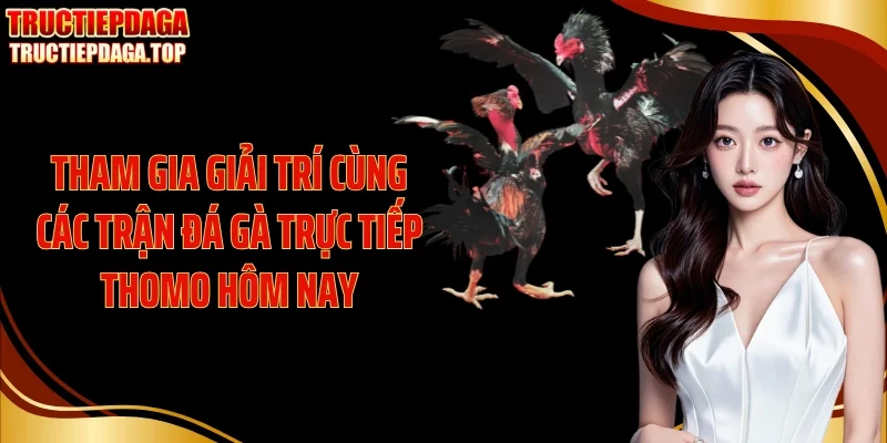 tham gia giai tri cung cac tran da ga truc tiep thomo hom nay Tham gia giải trí cùng các trận đá gà trực tiếp thomo hôm nay