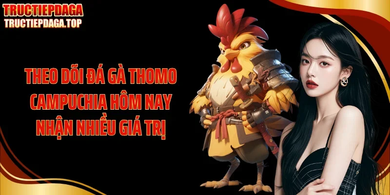 Theo dõi đá gà thomo Campuchia hôm nay nhận nhiều giá trị
