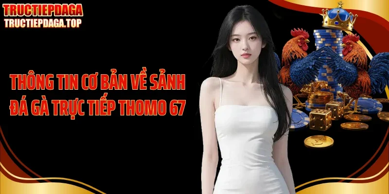 Thông tin cơ bản về sảnh đá gà trực tiếp Thomo 67