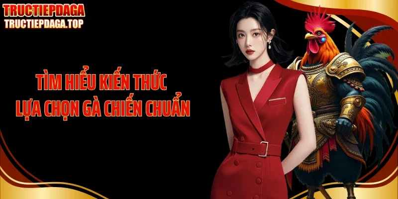 Tìm hiểu kiến thức lựa chọn gà chiến chuẩn