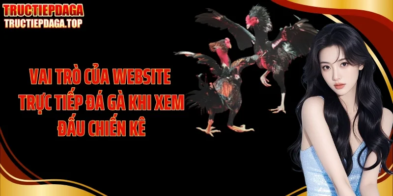 vai tro cua website truc tiep da ga khi xem dau chien ke Vai trò của website trực tiếp đá gà khi xem đấu chiến kê